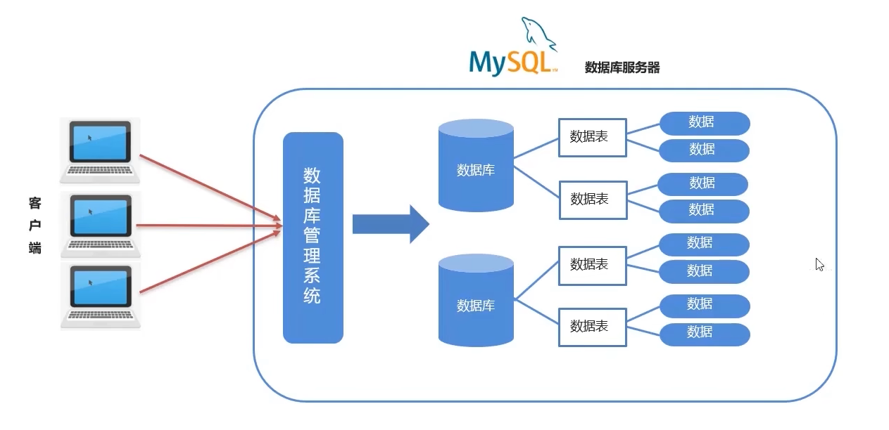 image-20240601100207516