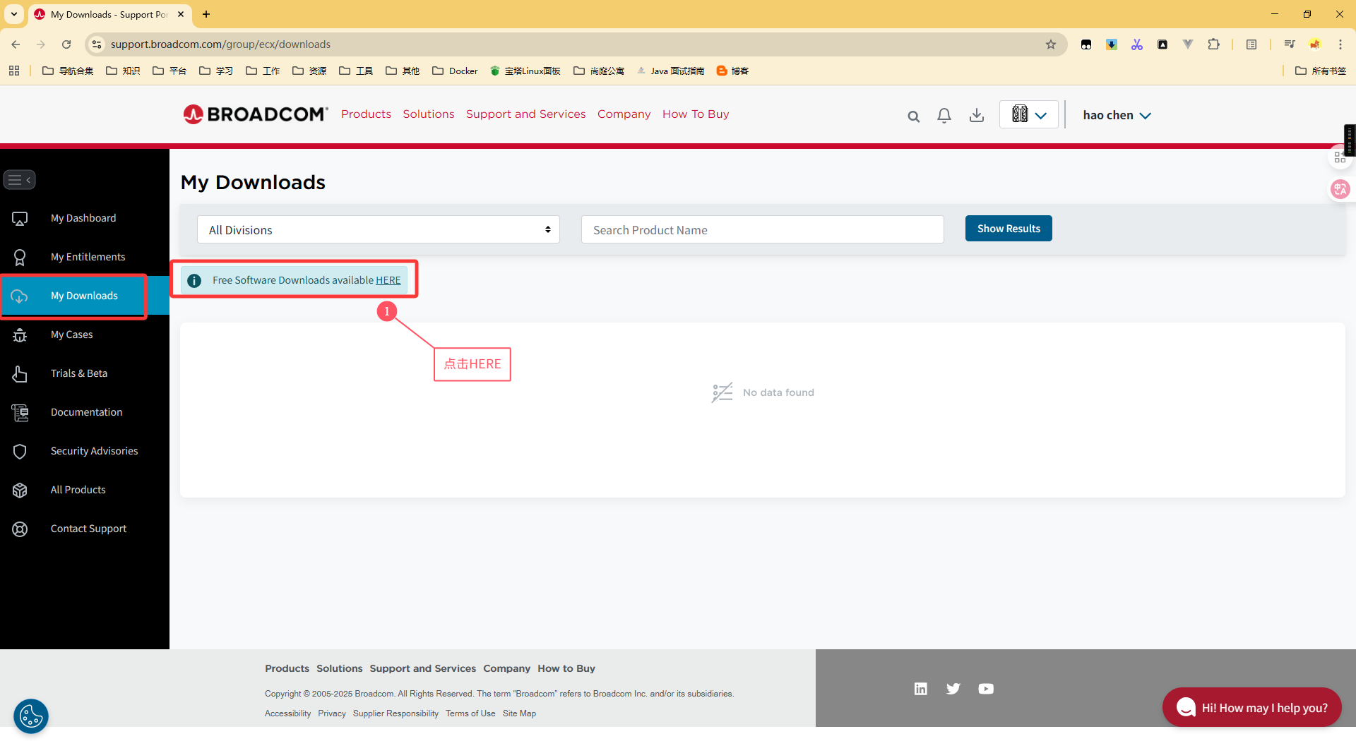 image-20251016221058921